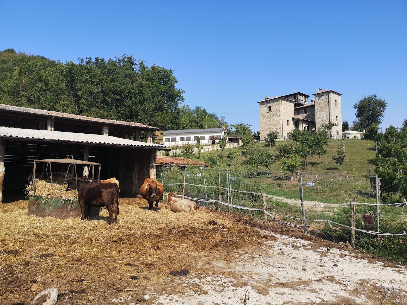 LA TORRE DEI CAVALIERI