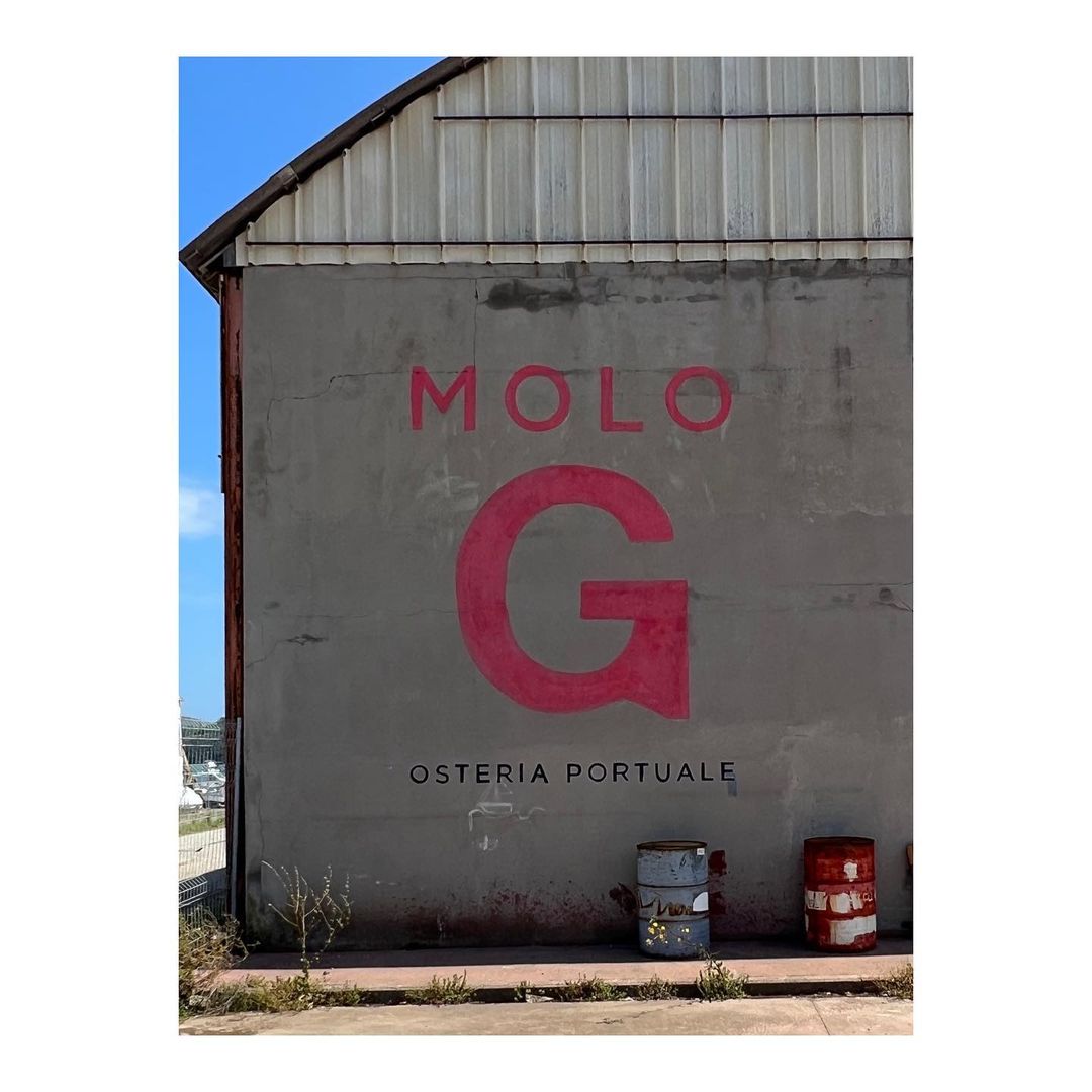 MOLO G